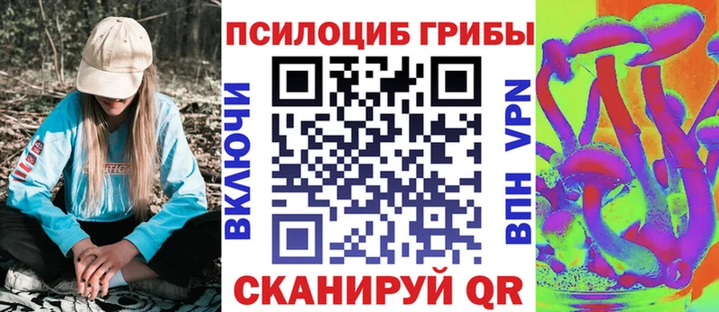 darknet клад  блэк спрут рабочий сайт  Минеральные Воды  купить наркотик  Псилоцибиновые грибы ЛСД 