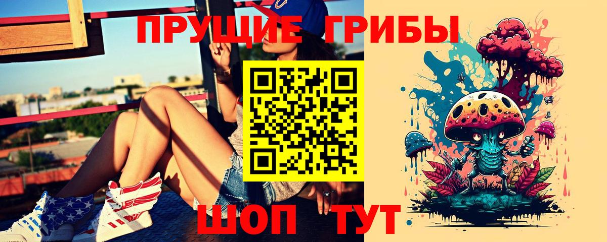 Галлюциногенные грибы мицелий Минеральные Воды