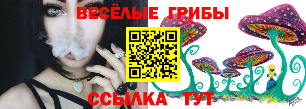 Минеральные Воды  Псилоцибиновые грибы мицелий  купить закладку  Вход с VPN 